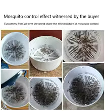 INHALATION MOSQUITO LAMP